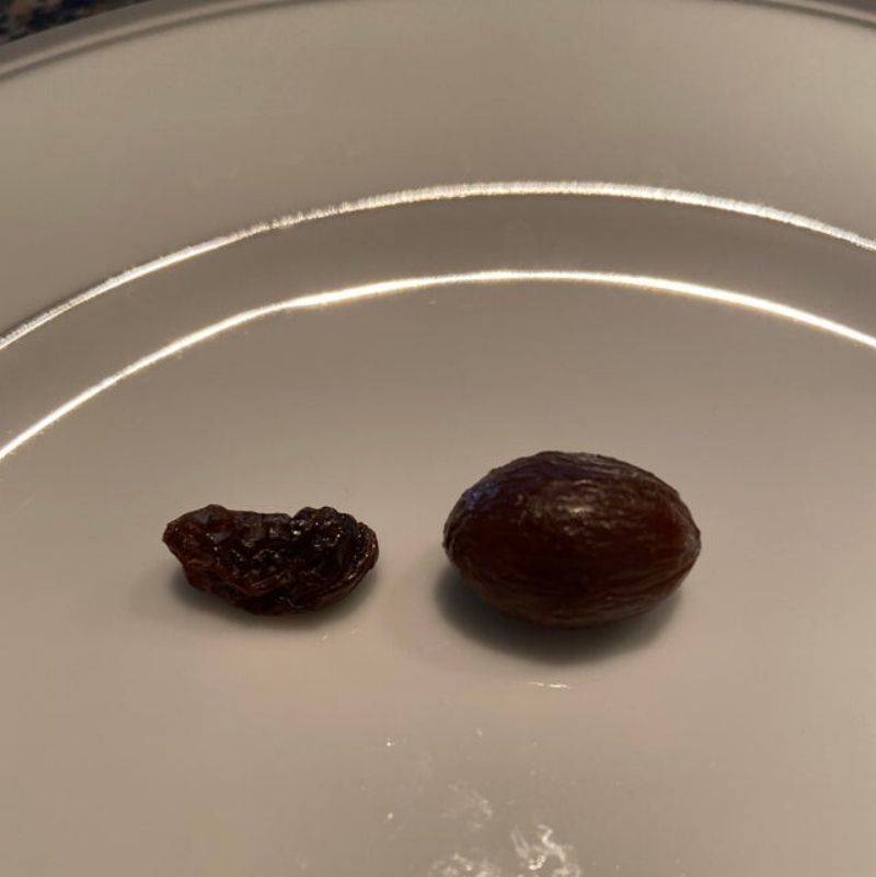 a rehydrated raisin 
