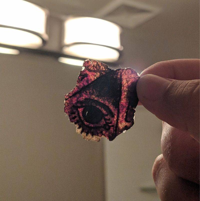 someone pulled off a scab of a fresh tattoo