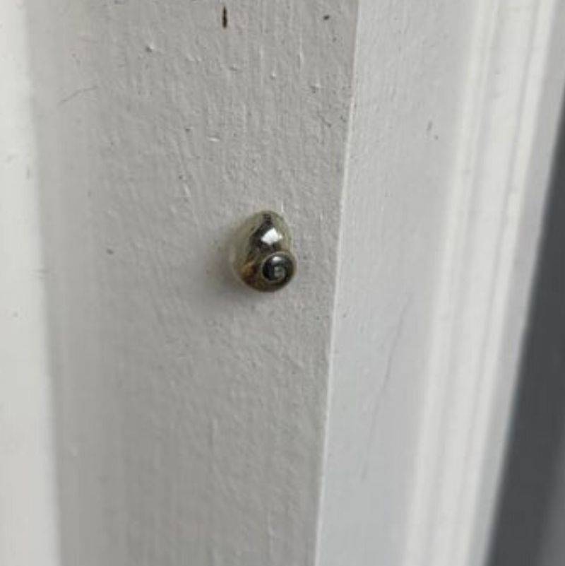 a snail with a transparent shell