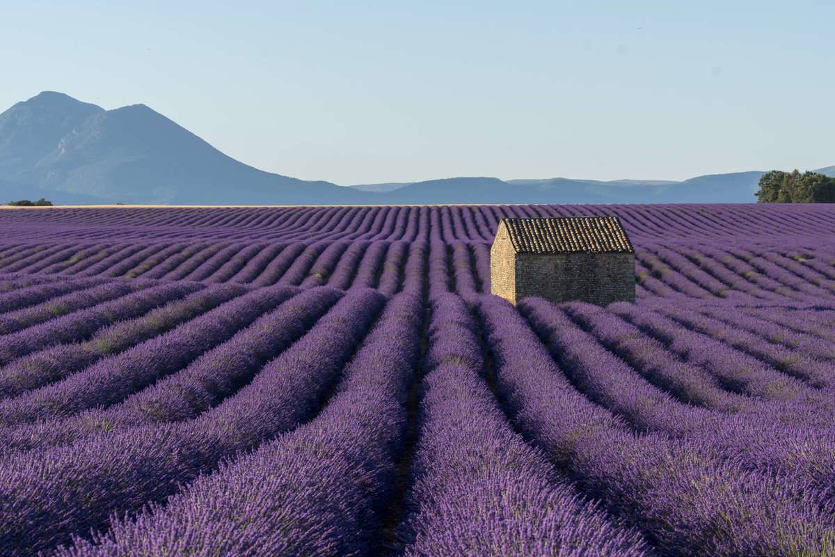 GettyImages-1030414986