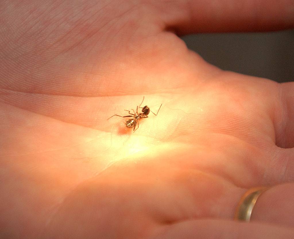 GettyImages-483012697