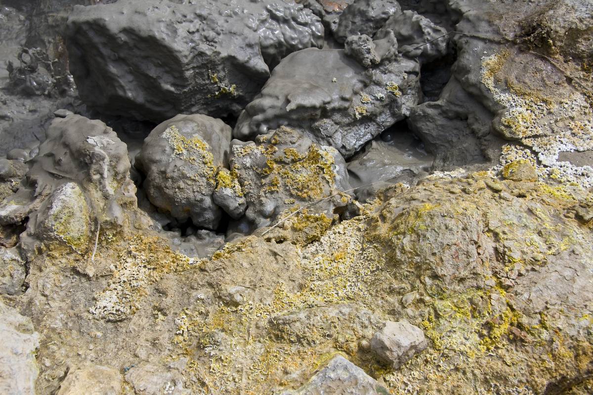 They Found So-Called Extremophiles