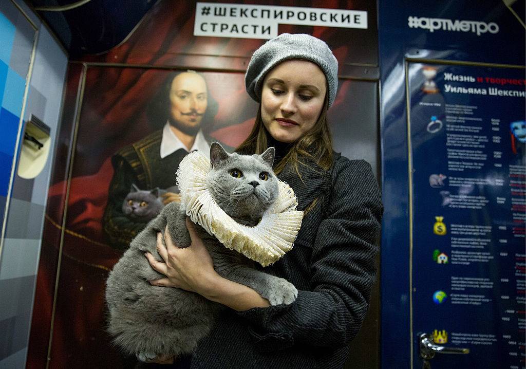 A woman holds her gray cat.