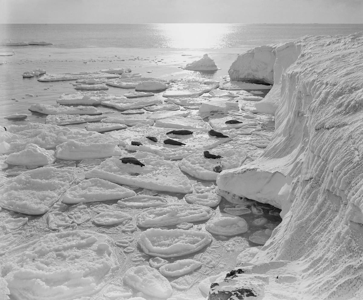 Ross Island Is A Frozen Landform