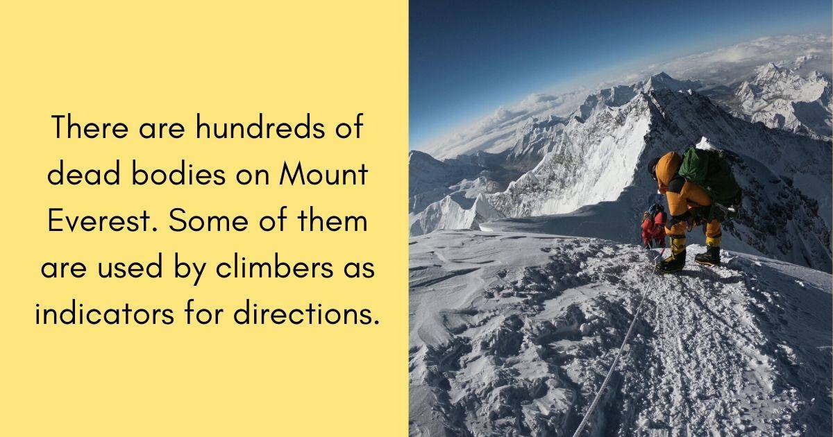 There are hundreds of dead bodies on Mount Everest. Some of them are used by climbers as indicators for directions.⁠