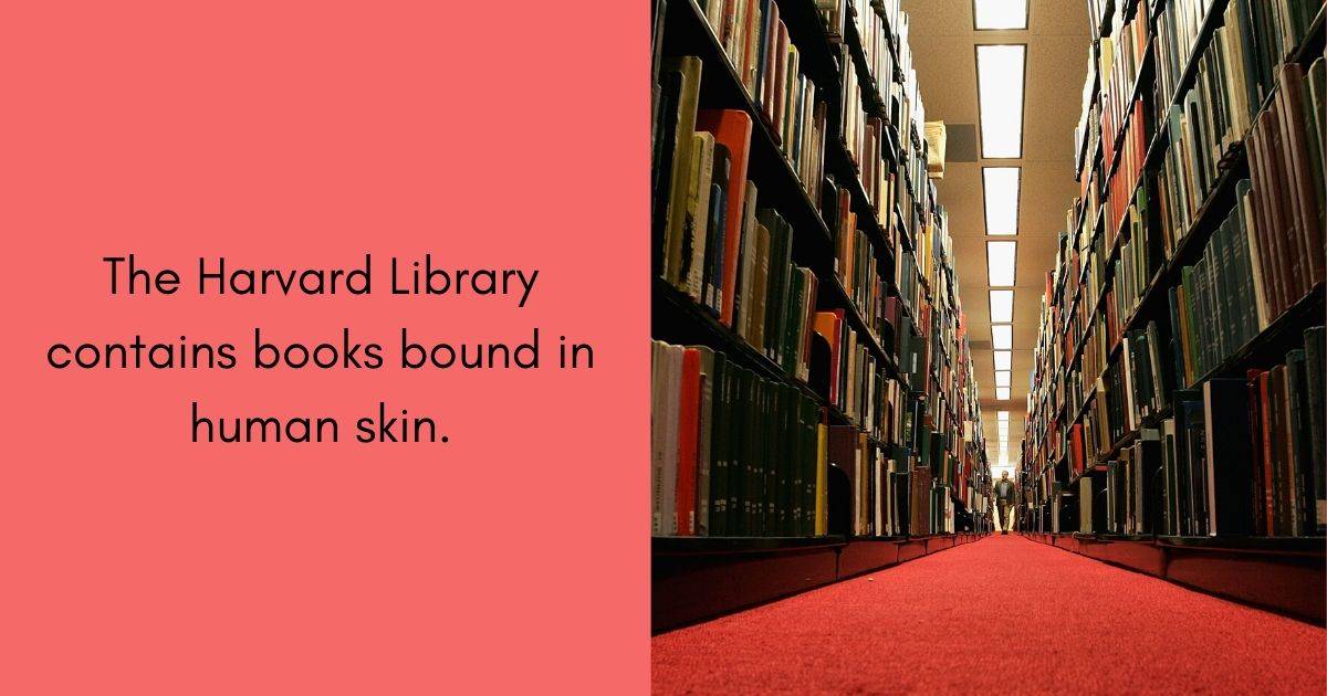 the Harvard library contains books bound in human skin