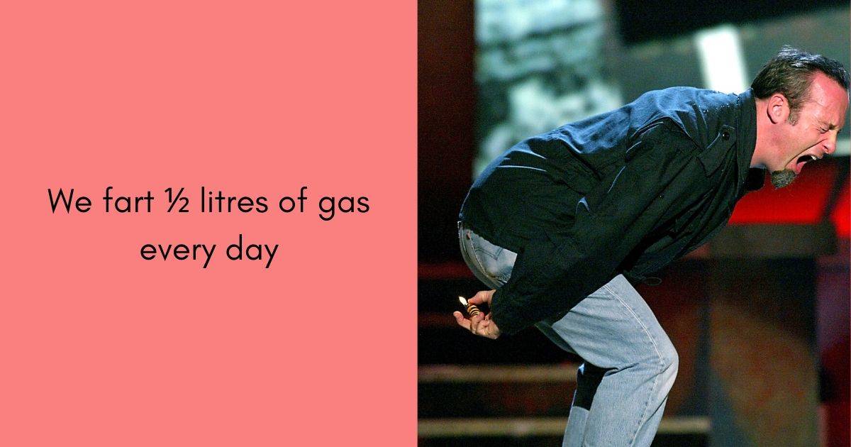 We fart ½ litres of gas every day⁠