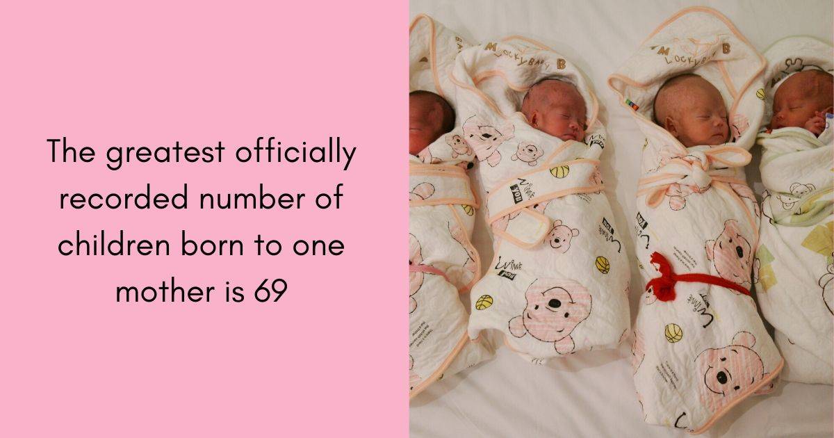 The greatest officially recorded number of children born to one mother is 69⁠