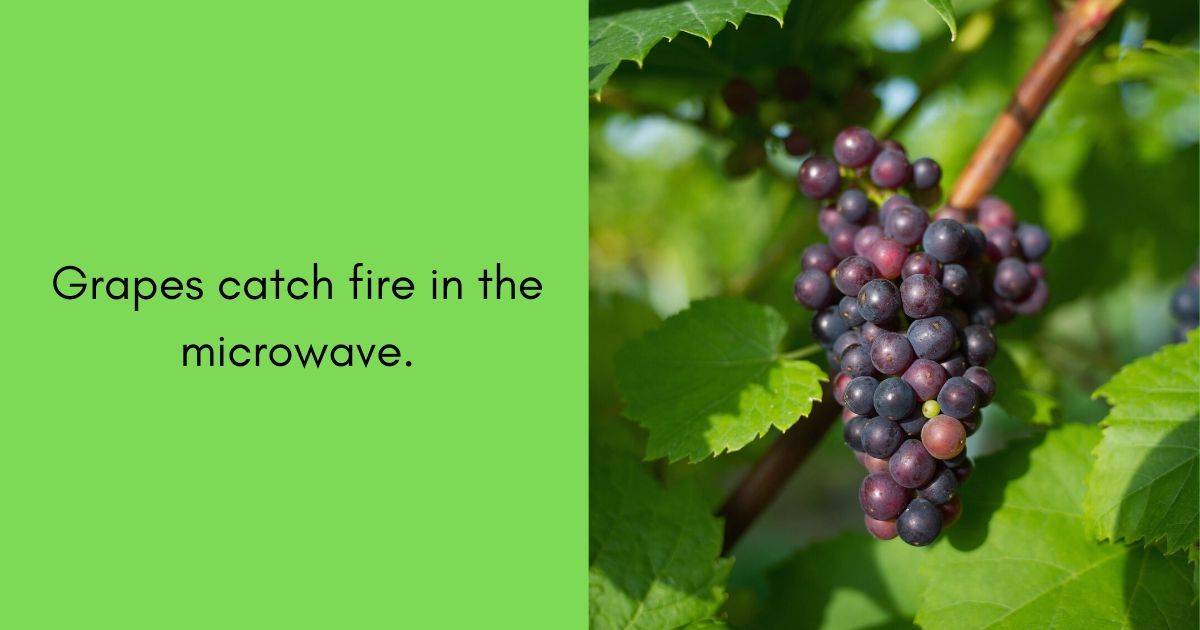 grapes catch fire in the microwave