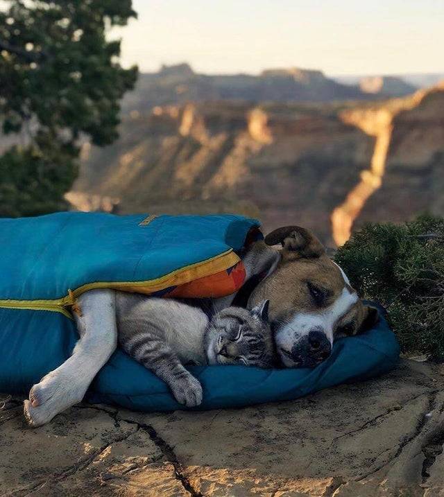 sleeping bag