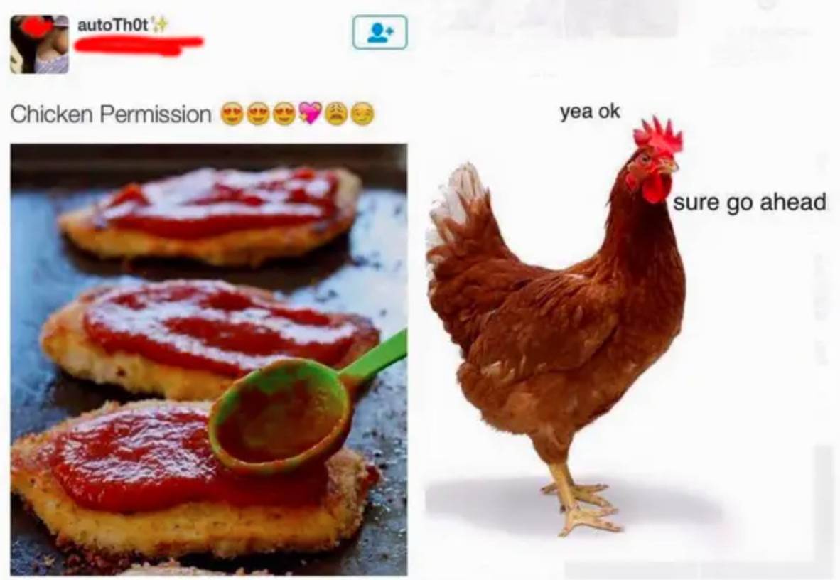 someone misspells chicken parmesan as chicken permission