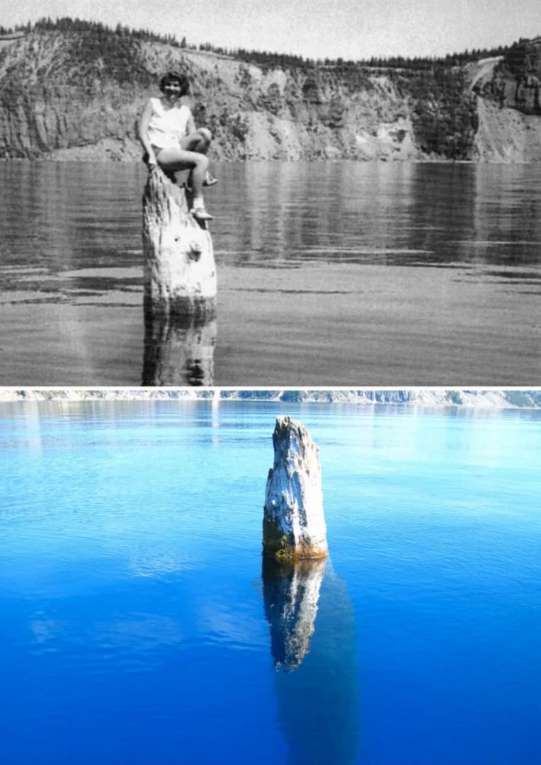 woman on tree trunk sticking vertically out of water in middle of the lake