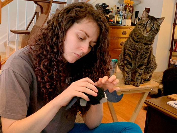 animals-with-toys-10