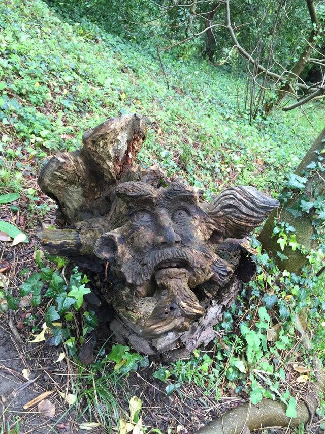 someone found a carving of a man's face