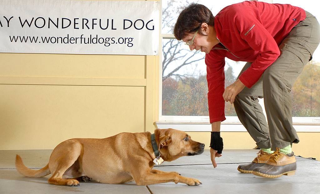 an instructor teaching her dog to army crawl