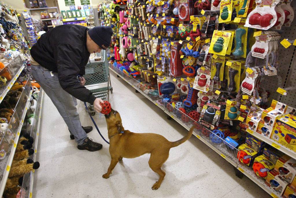a man playing with a dog in a pet store