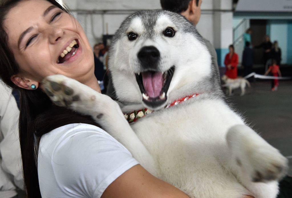 A woman smiles as she holds her Husky