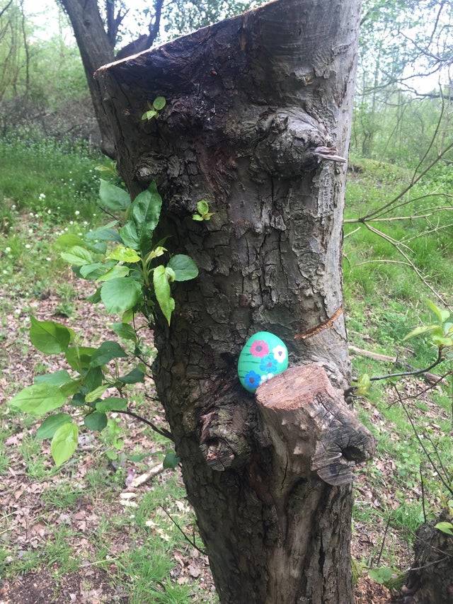 someone found Easter eggs while on a hike