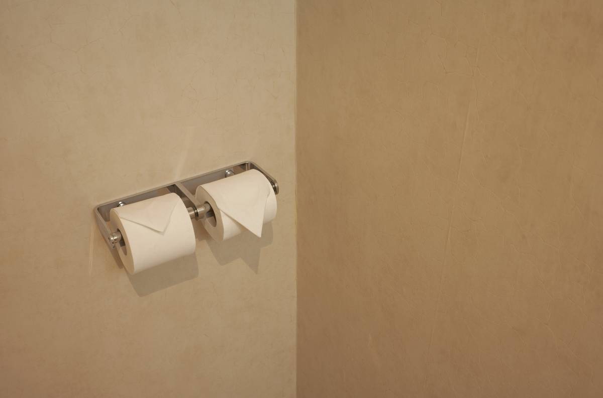 toilet paper rolls