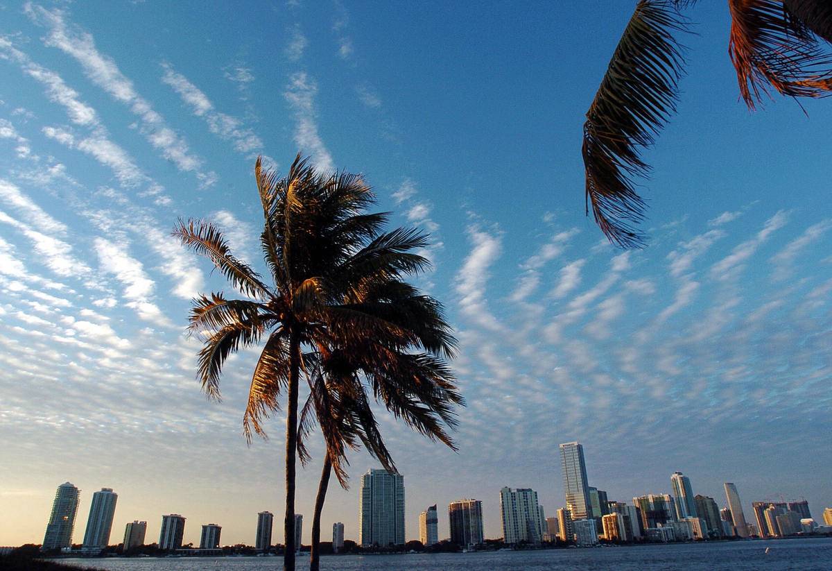 The skyline of Miami, Florida
