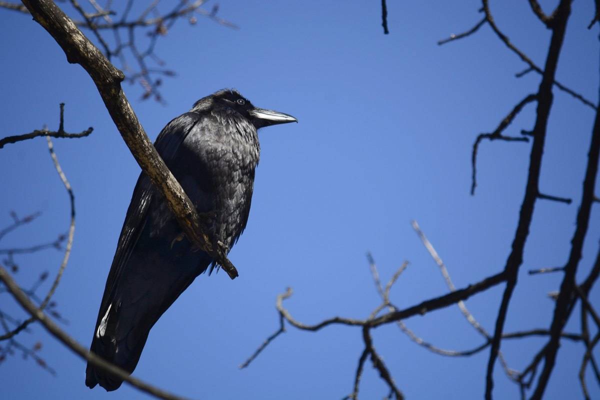 GettyImages-534288700