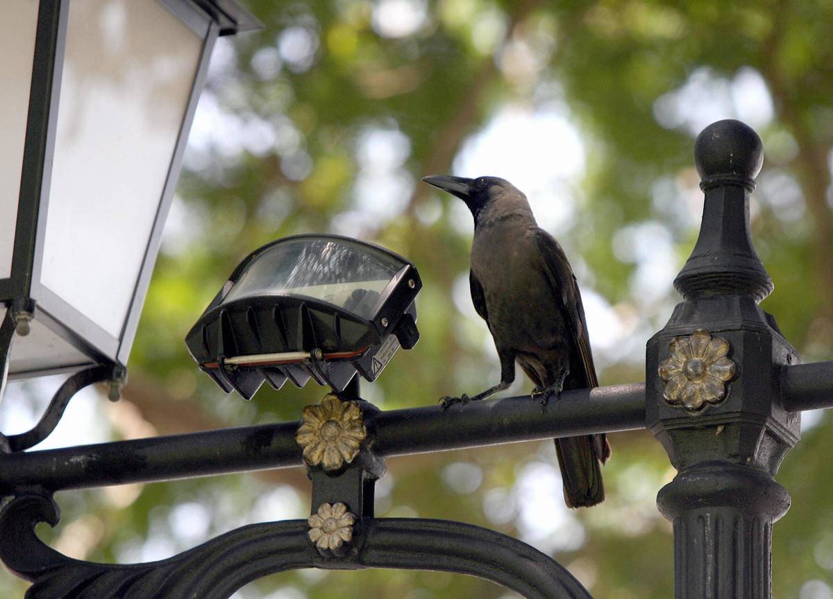 GettyImages-57526936