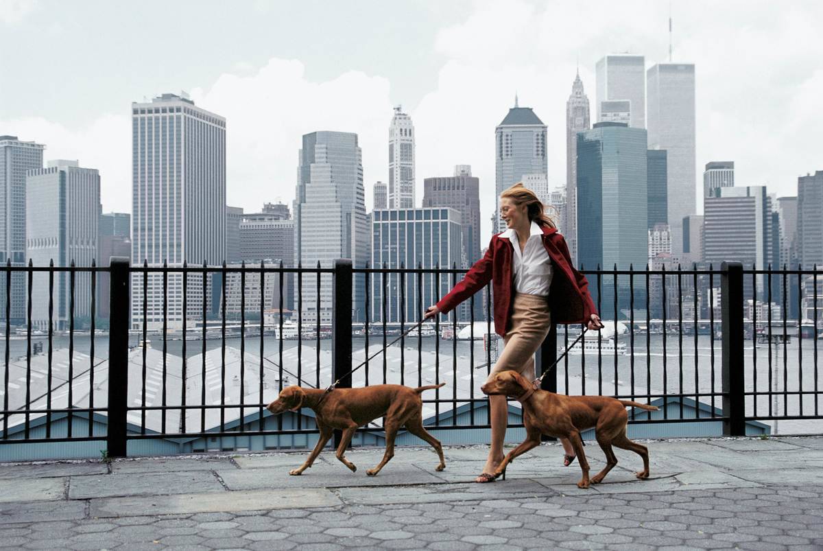 woman walking dogs on the Promenade