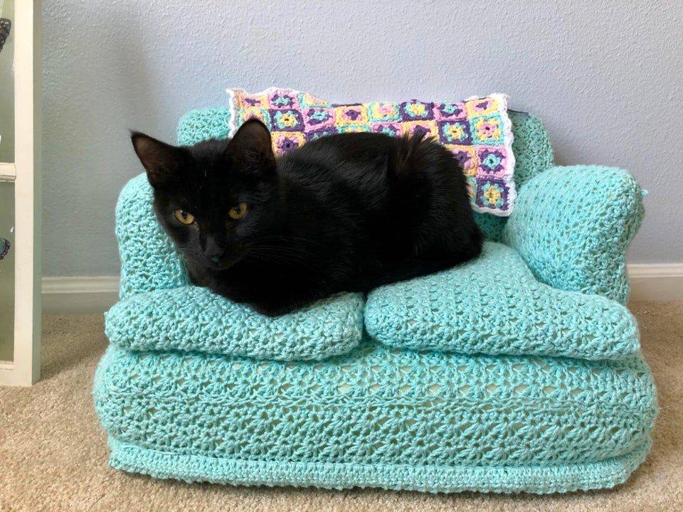A black cat sits on a crocheted couch.