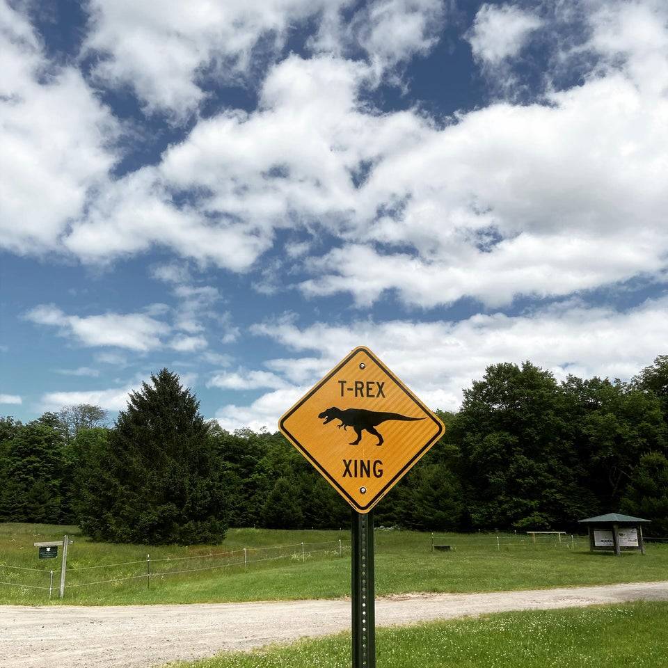 dino crossing sign