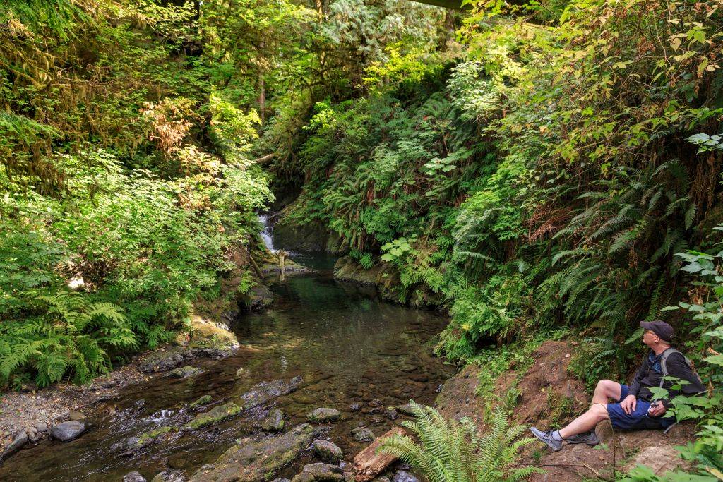 a backpacker sitting by a river and trees in enchanted valley