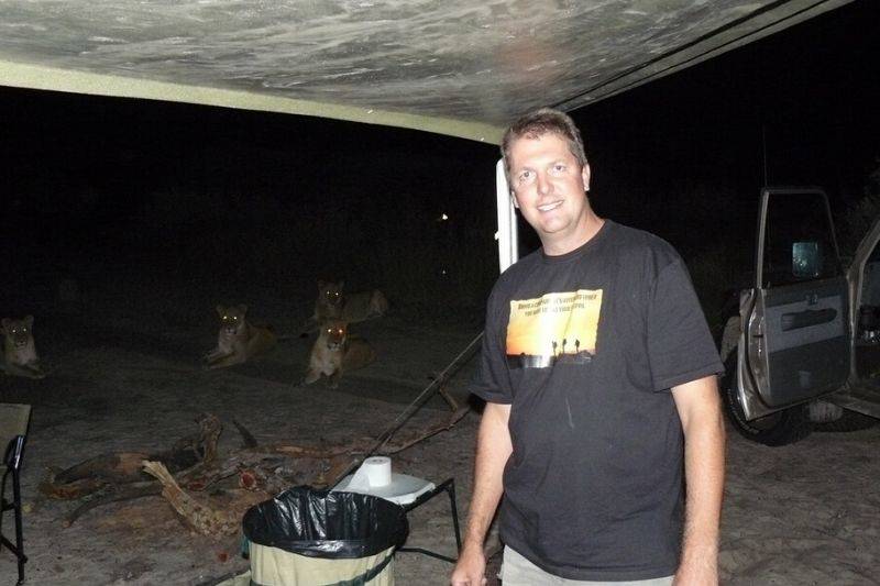 camp filled with lions