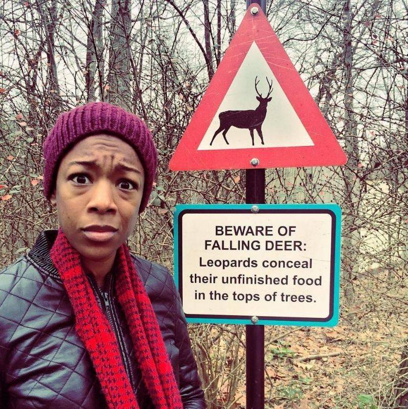 a beware of falling deer carcass sign