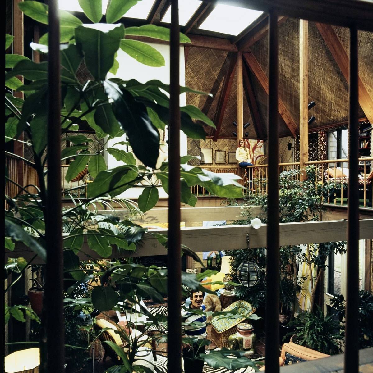 home filled with hosue plants