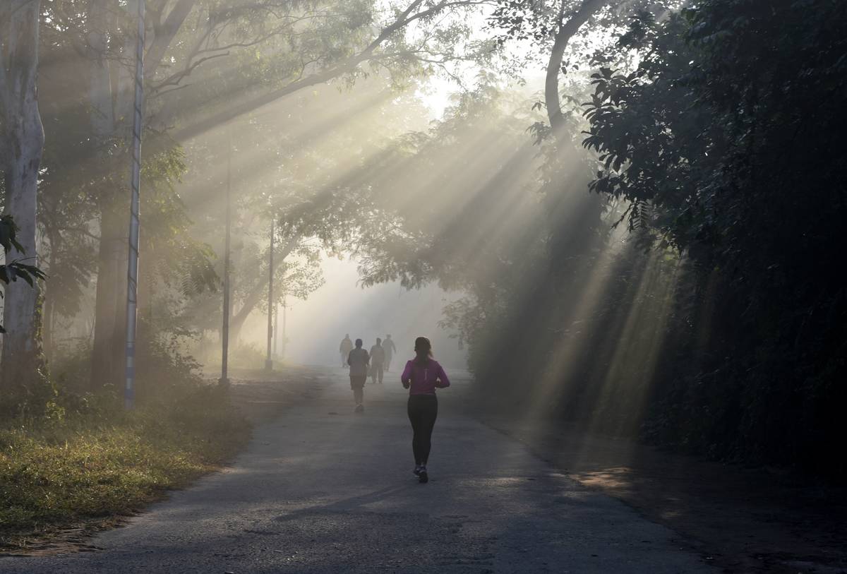Rays of sunlight spill through the trees on joggers running.
