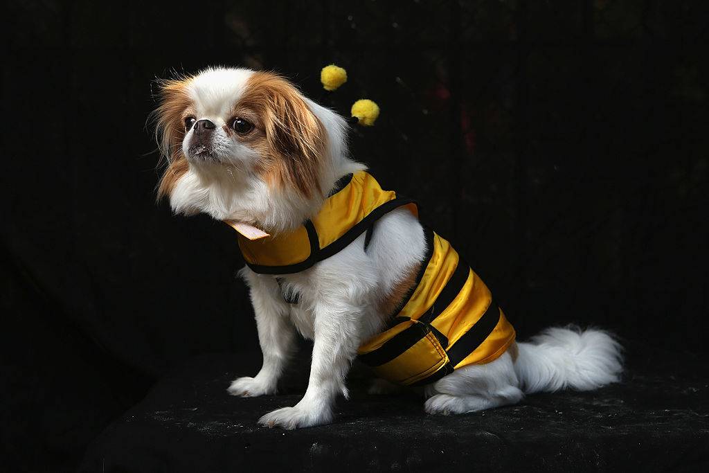 GettyImages-154477995