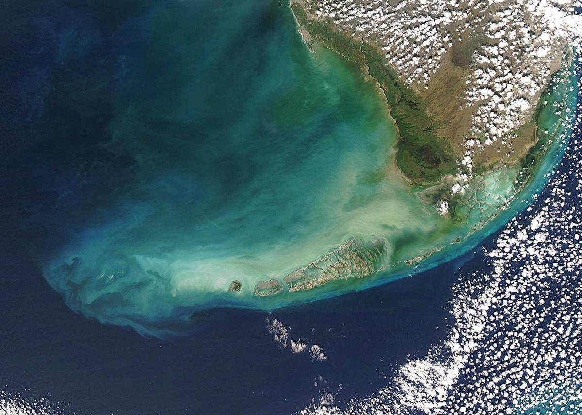 NASA Aqua Satellite image shows the turbid waters surrounding southern Florida and the Florida Keys. Clouds of milky blue, green, and tan sediments and microscopic marine organisms (like phytoplankton and algae) discolor the water in the Gulf of Mexico north of the Keys