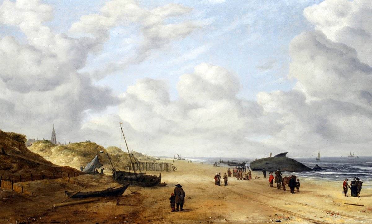 A painting by Hendrick van Anthonissen was restored to show the beached whale.