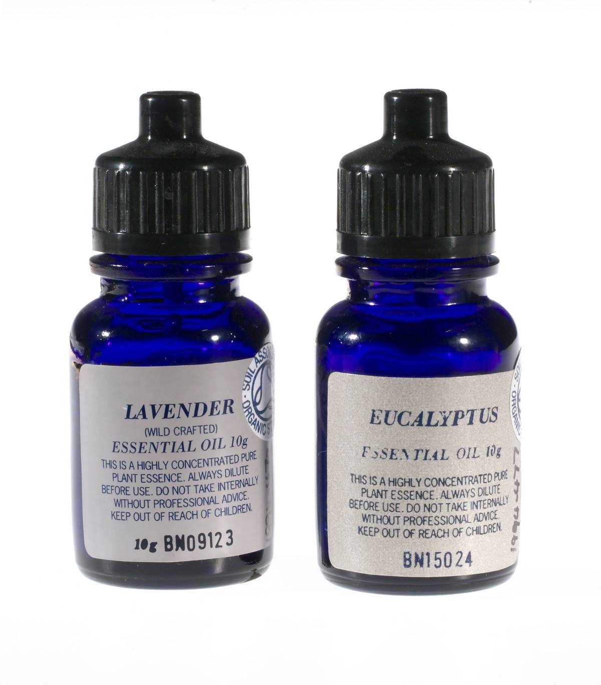 Two essential oils used in aromatherapy, on the left, Lavender, on the right Eucalyptus.