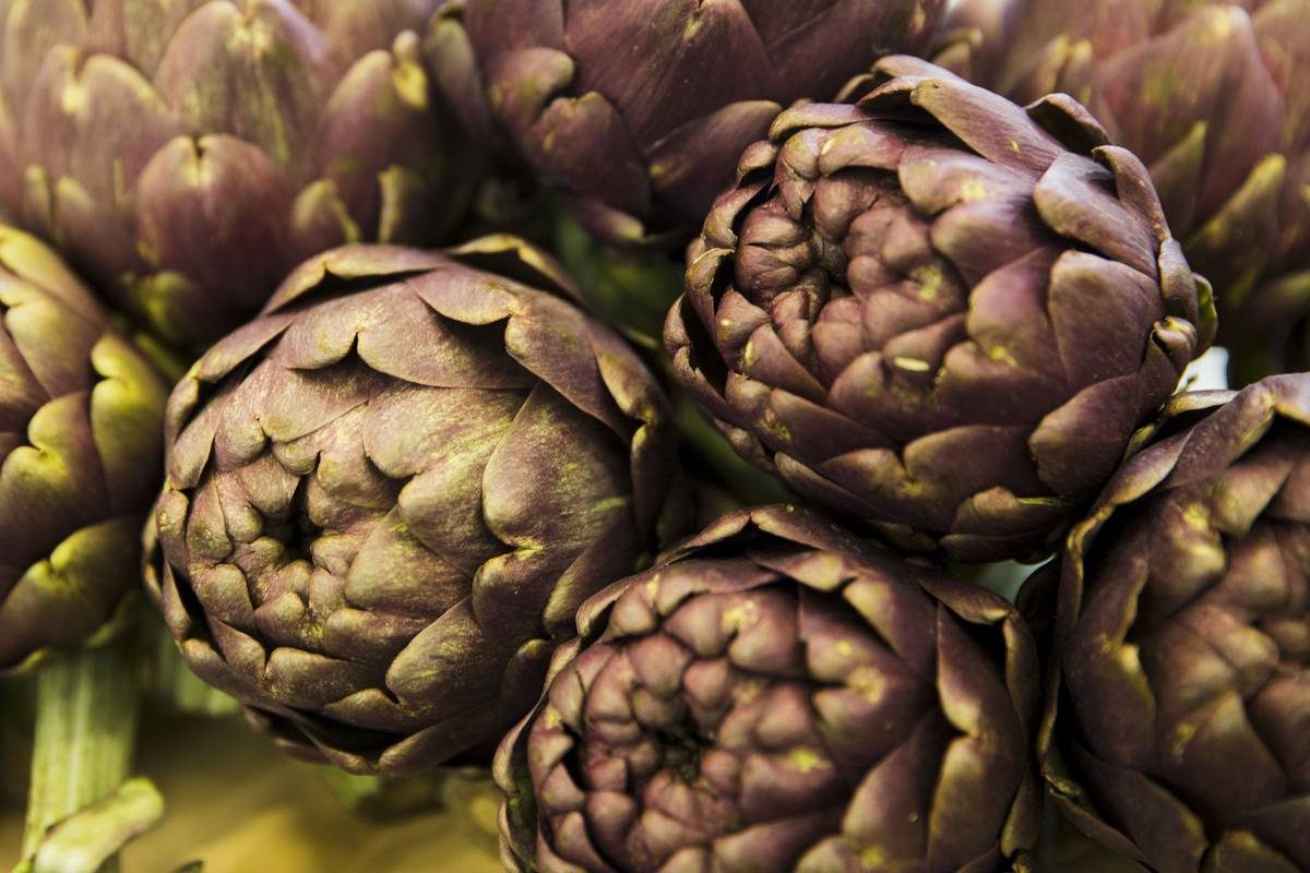 Purple artichokes are piled on top of each other.