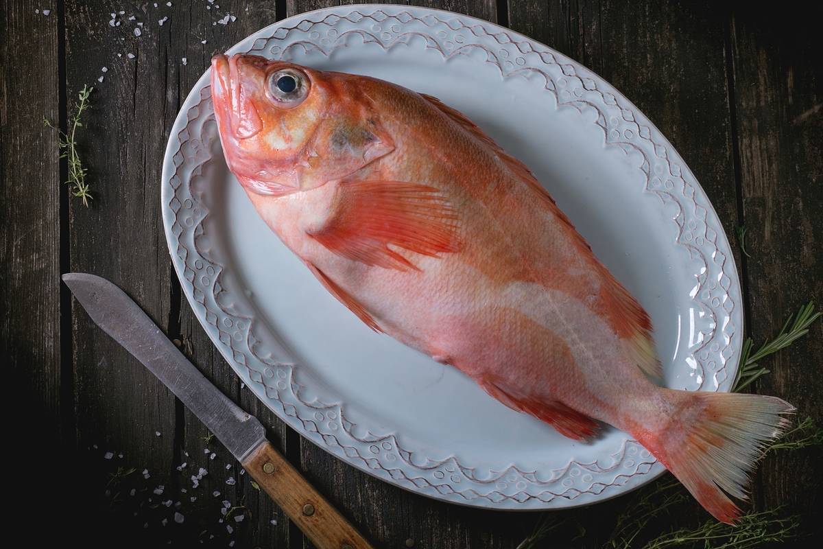 Raw fish grouper on oval ceramic plate with rosemary, salt and knife over old wooden table