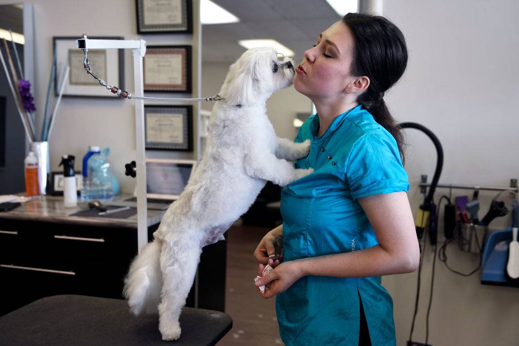 GettyImages-983317214