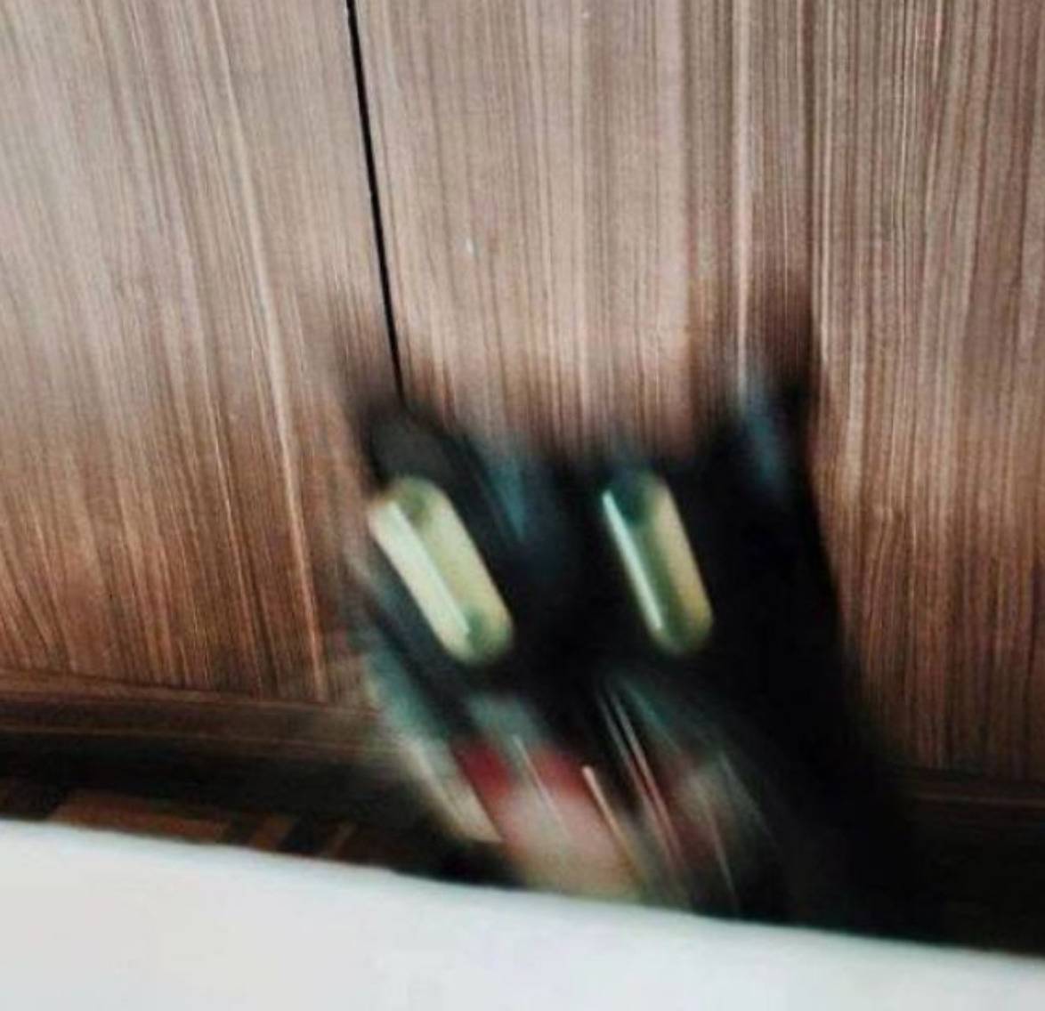 blurry picture of cat yelling while falling