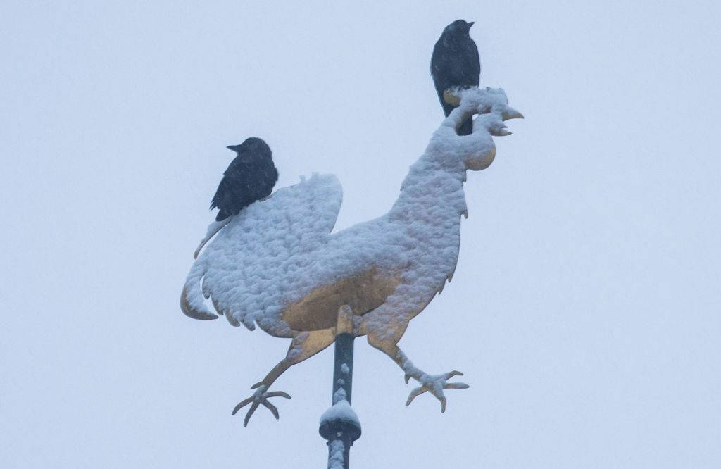 Two crows sit on a snow-covered weathervane
