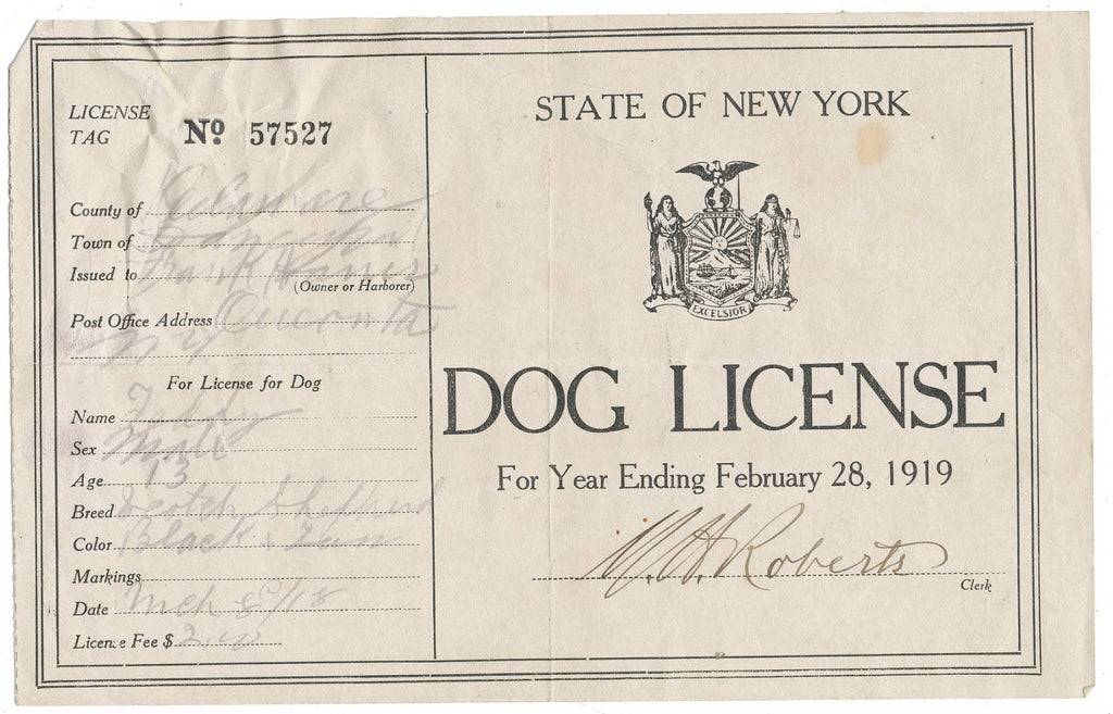 a dog license from 1919