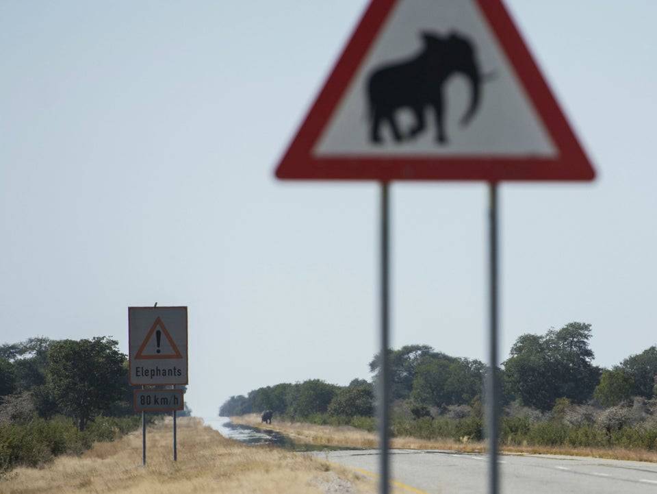 elephant crossing sign with an elephant in the back