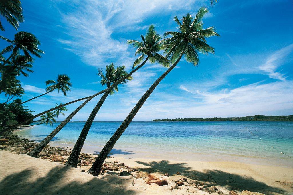 a view of a  beach with palm trees in fiji