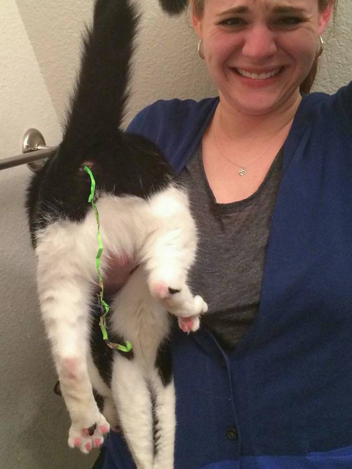 woman laughing while holding cat with string sticking out of its butthole