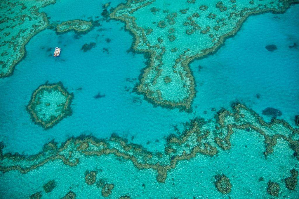 aerial view of the great barrier reef