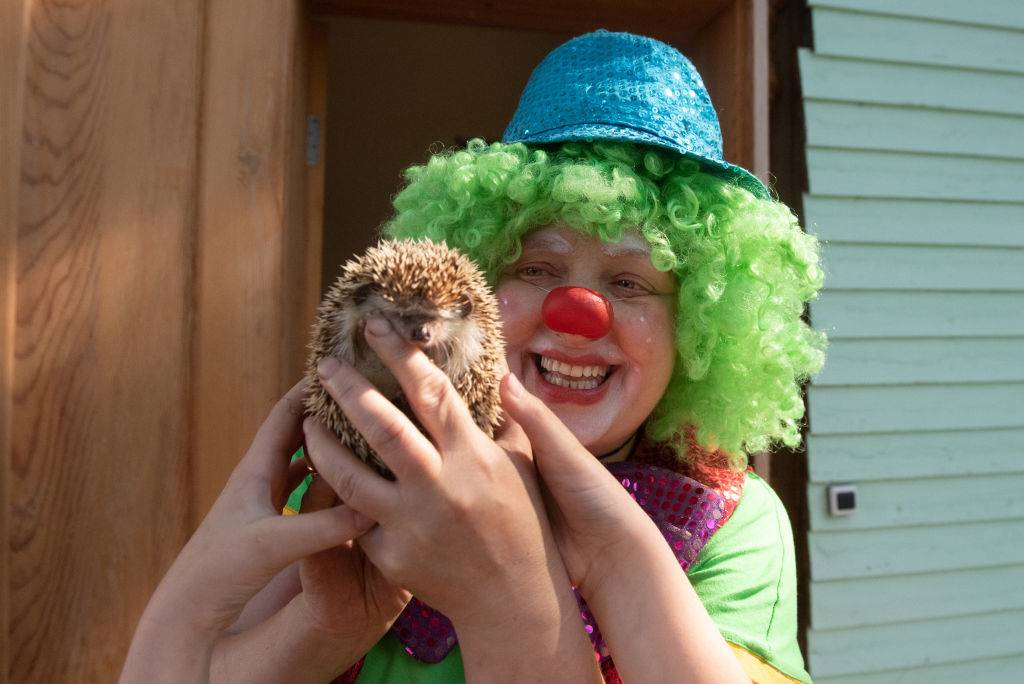 a woman dressed as a clown holding a hedgehog
