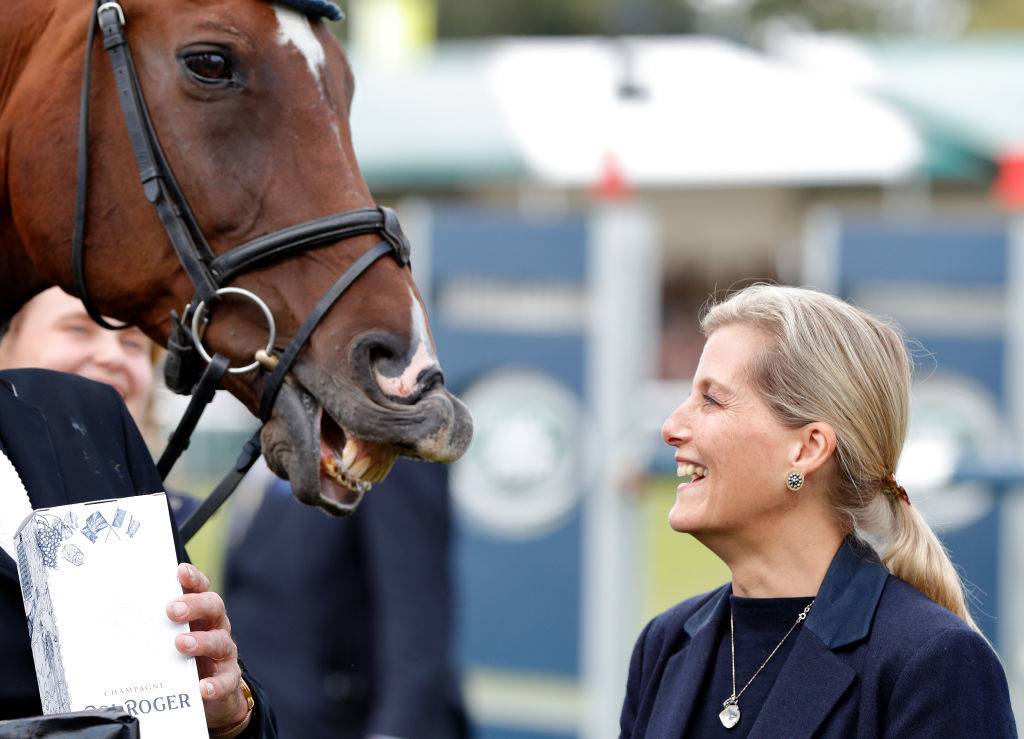 a horse smiling at Sophie, the Countess of Wessex